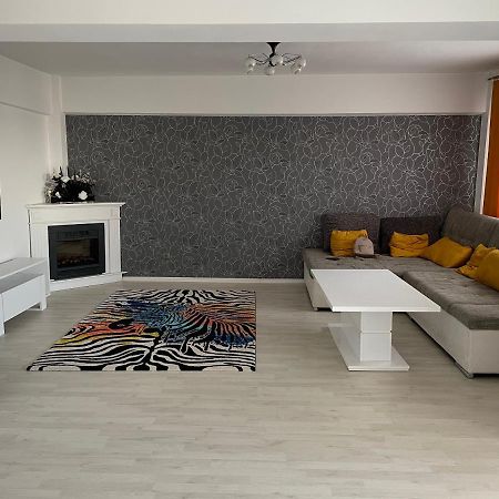 Panoramic M&M Apartment Suceava Bagian luar foto