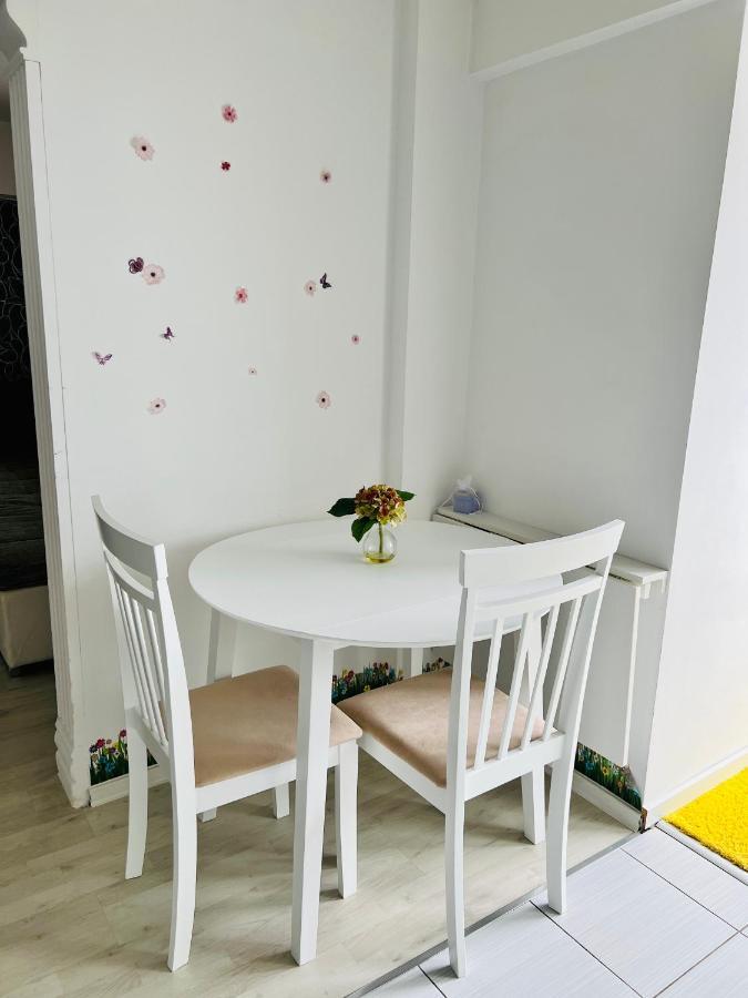Panoramic M&M Apartment Suceava Bagian luar foto
